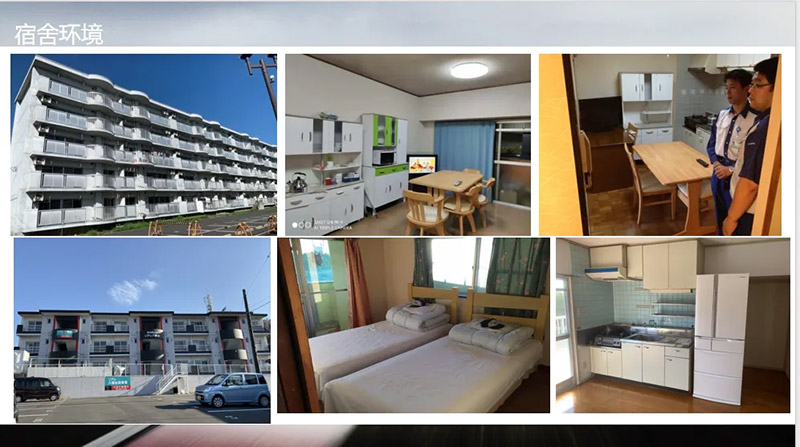 山东万通：搭建国际桥梁，赋能学子海外逐梦